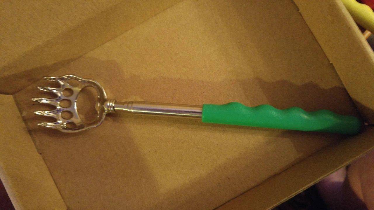 Dighealth back scratcher