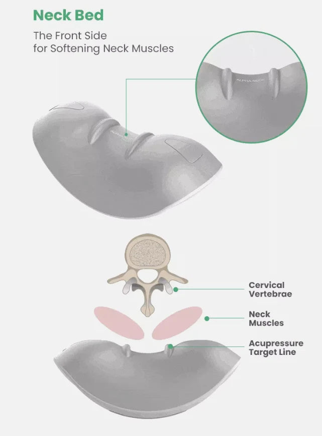 Hot circle alpha neck / Proper Neck Pain Management / Express