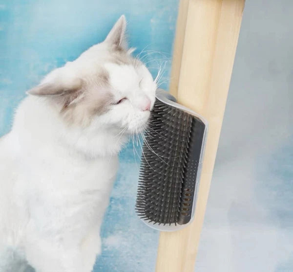 cat wall corner grooming comb pet massage brush hair scratcher