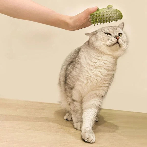 Silicone Cat Scratching Rubbing Brush Cat Scratcher Massager  Grooming Table