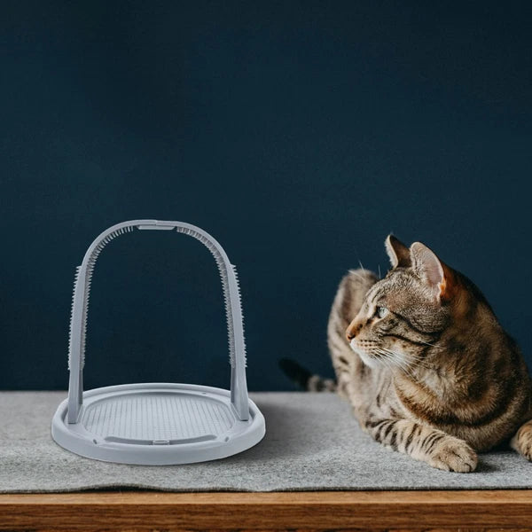 Arched Wool Rubbing Device Cat Self Grooming Massager for Indoor Cats