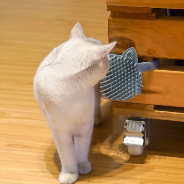 Board Cat Scratchers Massage Grooming Brush Pet Supplies