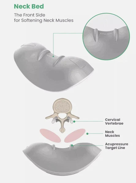 Hot circle alpha neck / Proper Neck Pain Management / Express
